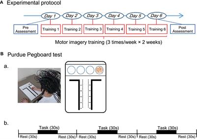 Motor Imagery Training With Neurofeedback From the Frontal Pole Facilitated Sensorimotor Cortical Activity and Improved Hand Dexterity